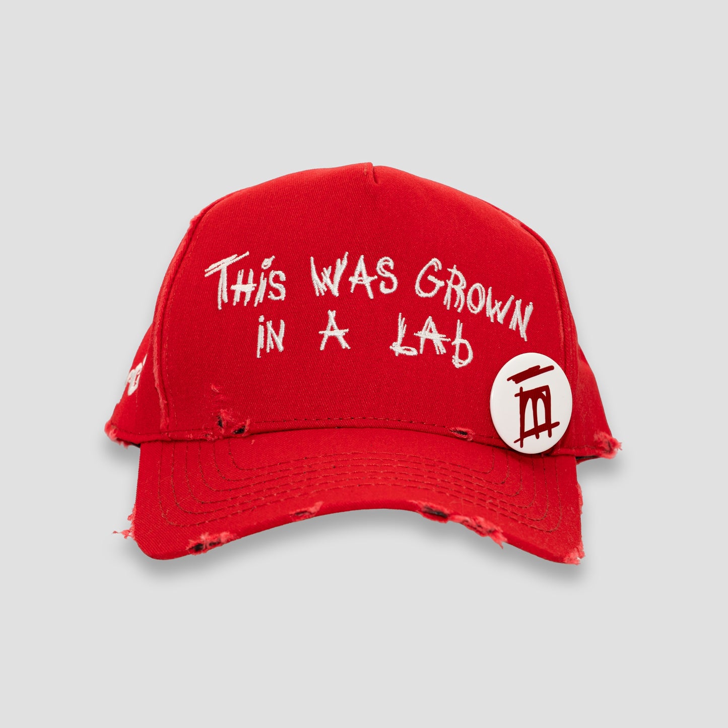"LAB" hat