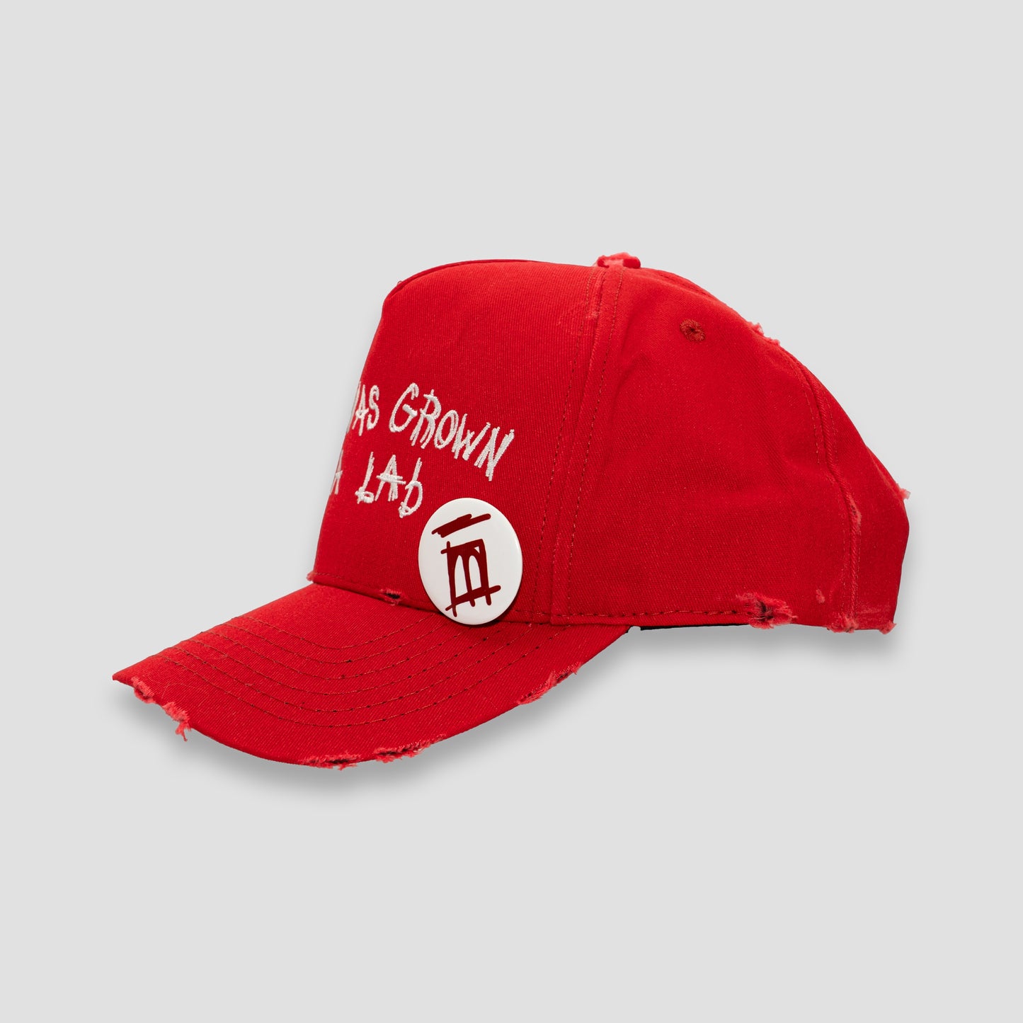 "LAB" hat